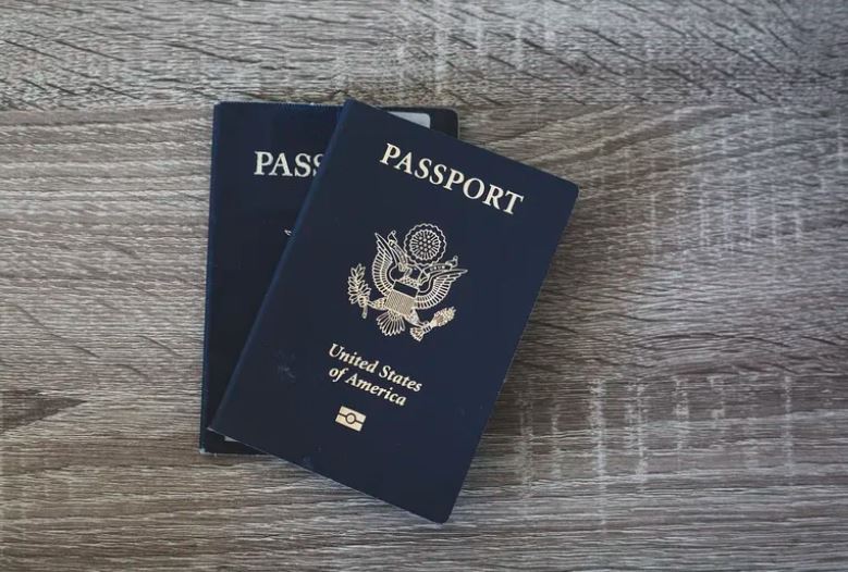 What is the Difference Between Visa and Passport - Pediaa.Com