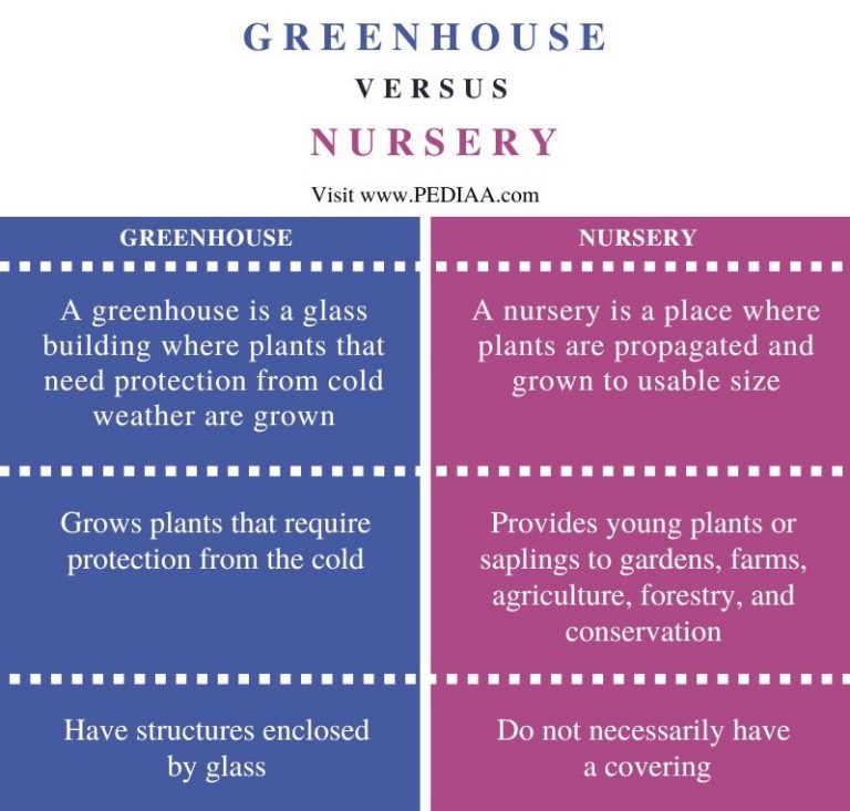 what-is-the-difference-between-greenhouse-and-nursery-pediaa-com