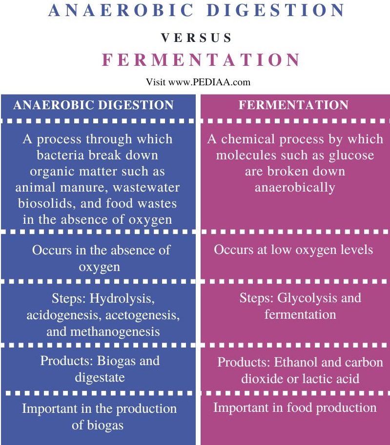 Anaerobic Digestion vs Fermentation - Comparison Summary