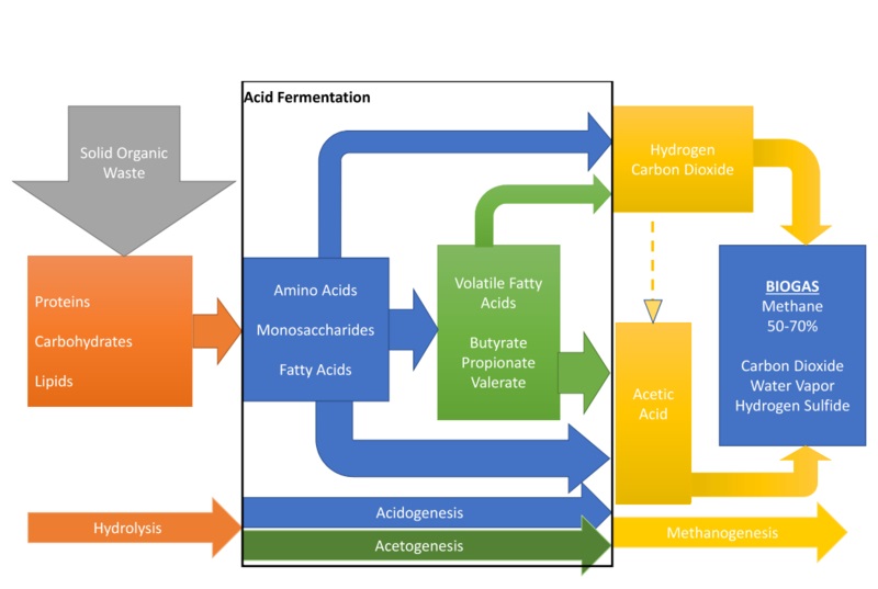 Compare Anaerobic Digestion and Fermentation - What's the difference?