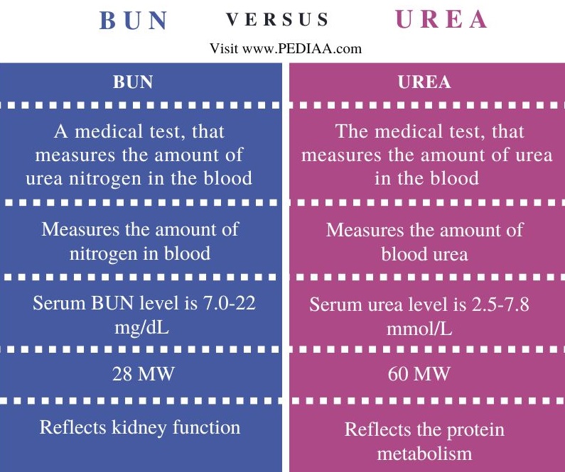 BUN vs Urea - Comparison Summary