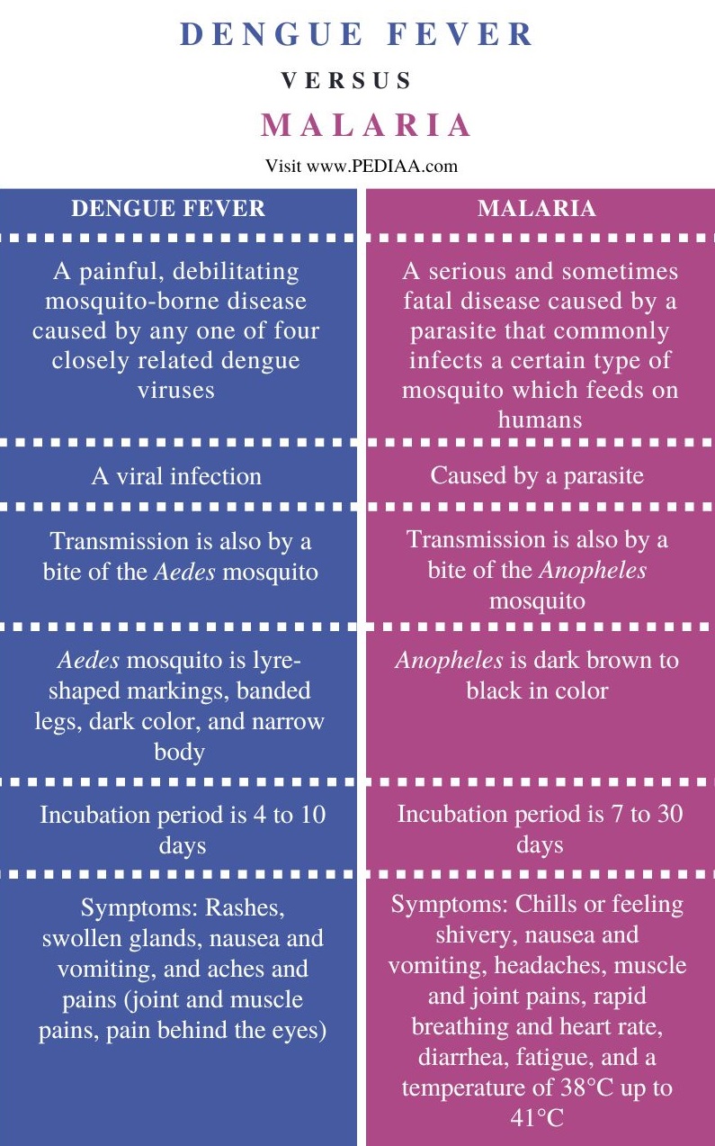 what-is-the-difference-between-dengue-fever-and-malaria-pediaa-com