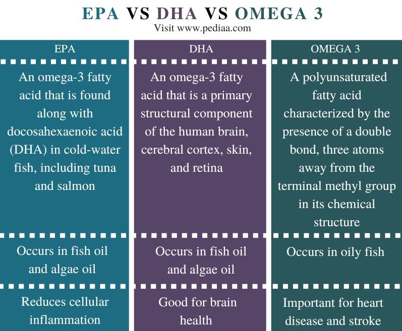 EPA DHA vs Omega 3 - Comparison Summary