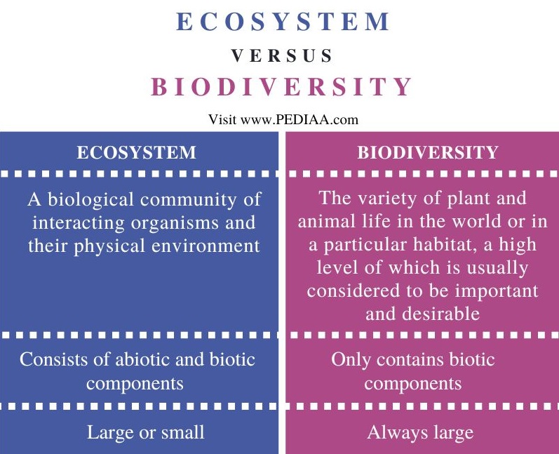 Ecosystems vs Biodiversity - Comparison Summary