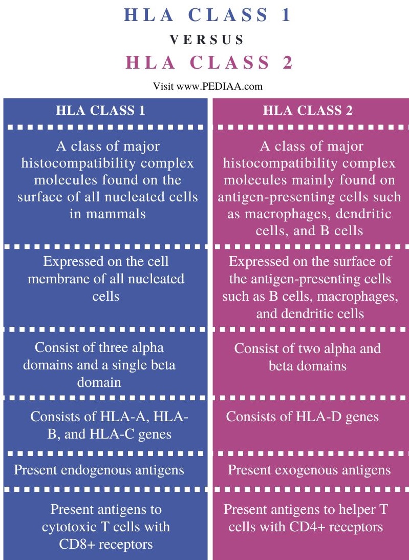 HLA Class 1 vs 2 - Comparison Summary
