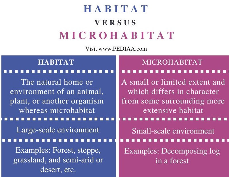 what-is-the-difference-between-habitat-and-microhabitat-pediaa-com