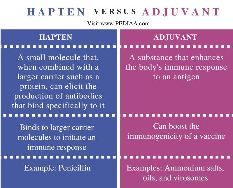 Havten vs Adjuvant - Comparison  Summary