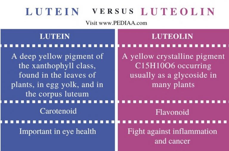 What is the Difference Between Lutein and Luteolin