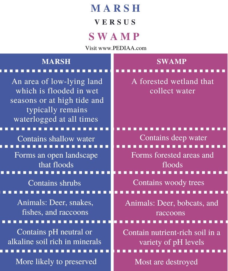 Marsh and Swamp - Comparison Summary