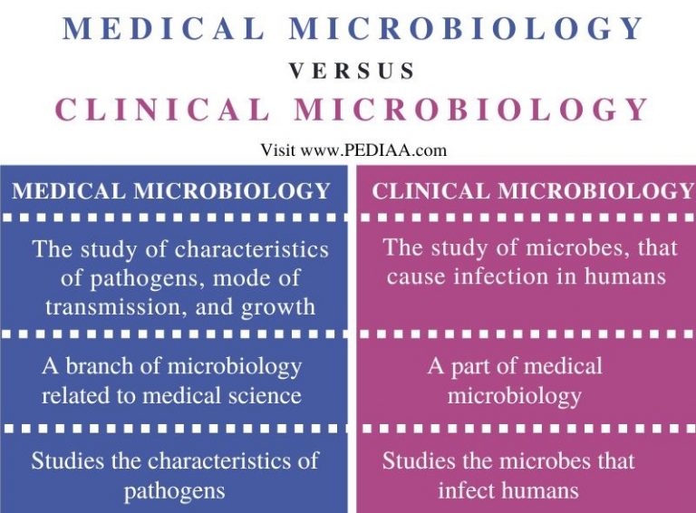 What is the Difference Between Medical Microbiology and Clinical