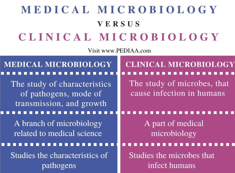 Medical Microbiology vs Clinical Microbiology - Comparison Summary