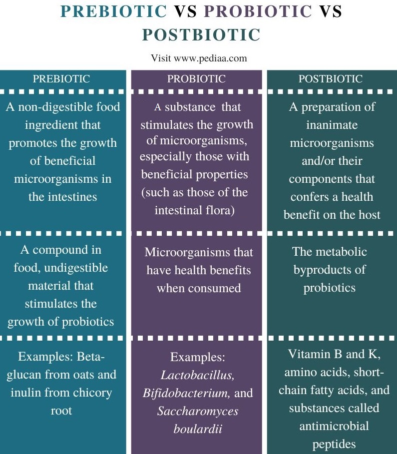 What-is-the-Difference-Between-Prebiotic-Probiotic-and-Postbiotic-Comparison-Summary