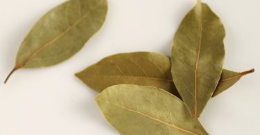 Compare Cassia Leaf and Bay Leaf - What's the difference?