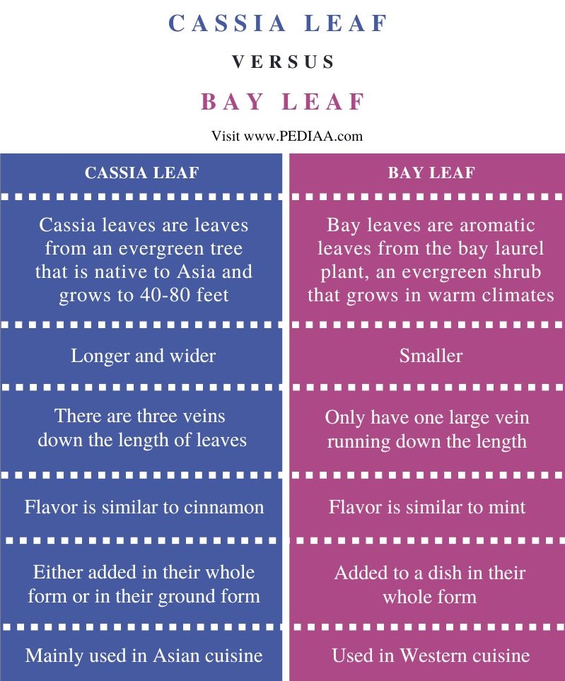 Difference Between Cassia Leaf and Bay Leaf - Comparison Summary