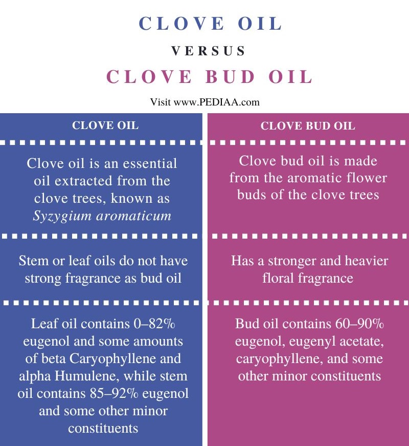Difference Between Clove Oil and Clove Bud Oil - Comparison Summary