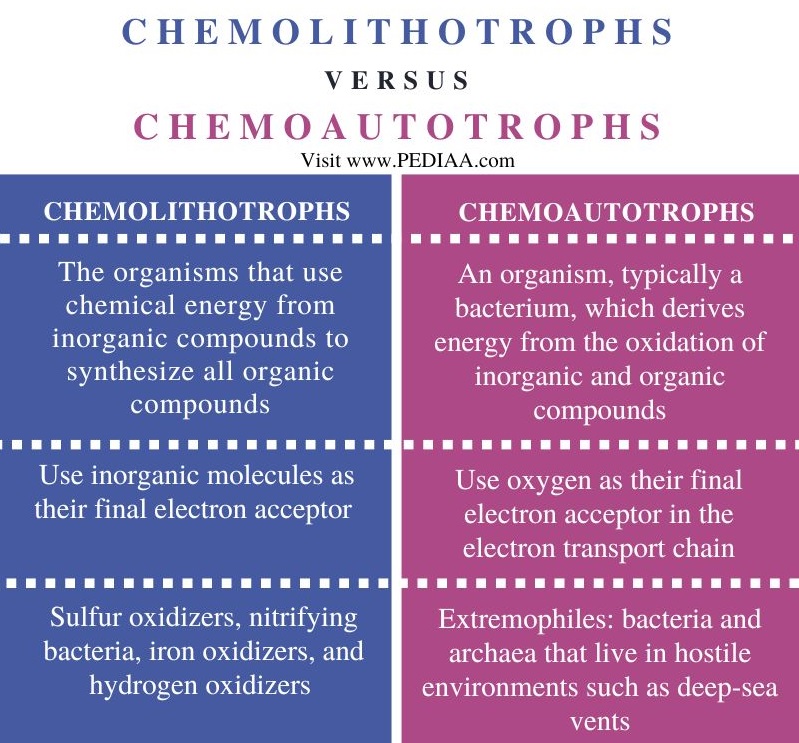 Chemolithotrophs vs chemoautotrophs - Comparison Summary