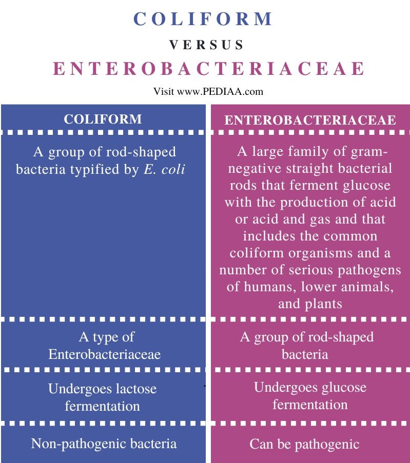 Coliform vs Enterobacteriaceae - Comparison Summary