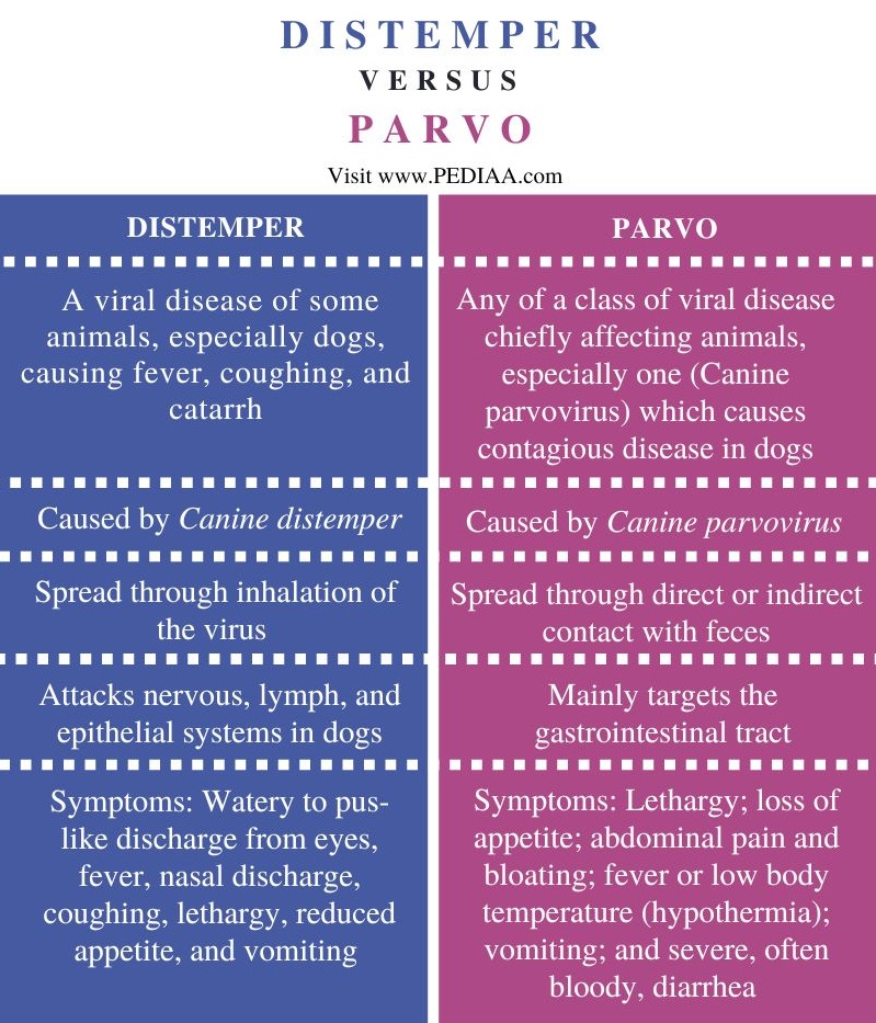 What Is The Difference Between Distemper And Parvo Pediaa Com What Is The Difference Between Distemper And Parvo Pediaa Com