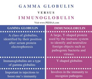 gammaglobulin immunoglobulin subclasses igg1 2 3 or 4 each