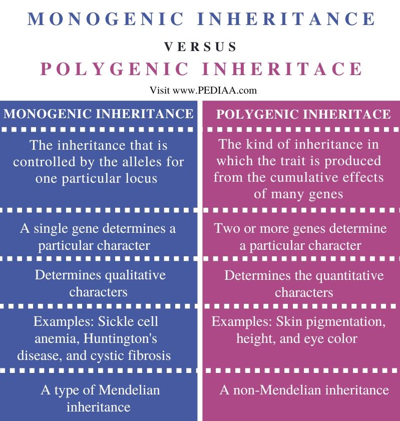 Monogenic vs Polygenic Inheritance - Comparison Summary