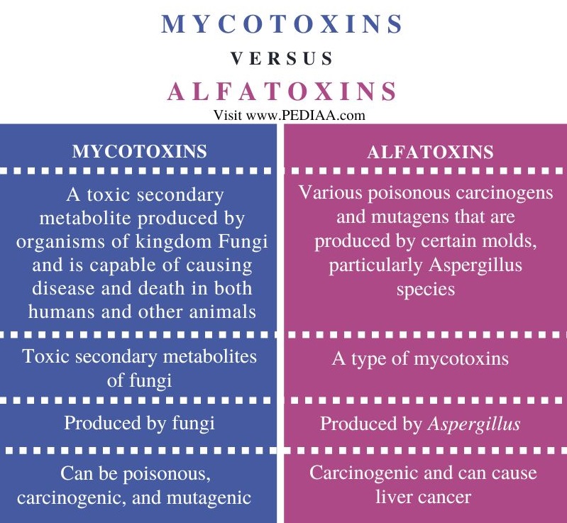 Mycotoxins vs Alfatoxins - Comparison Summary