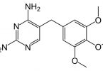 What is the Difference Between Nitrofurantoin vs Trimethoprim