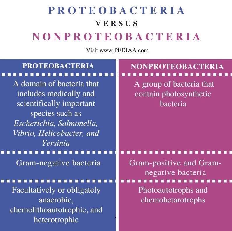 Proteobacteria vs Nonproteobacteria - Comparison Summary