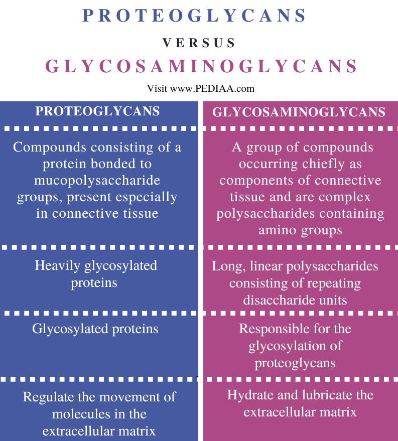 Proteoglycans vs Glycosaminoglycans - Comparison Summary