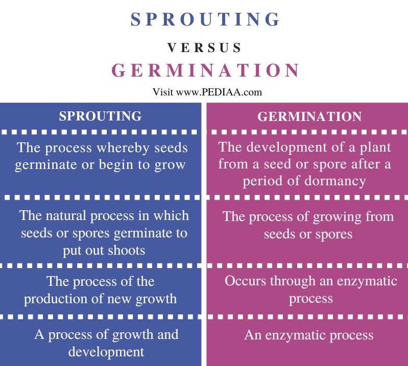 Sprouting vs Germination - Comparison Summary