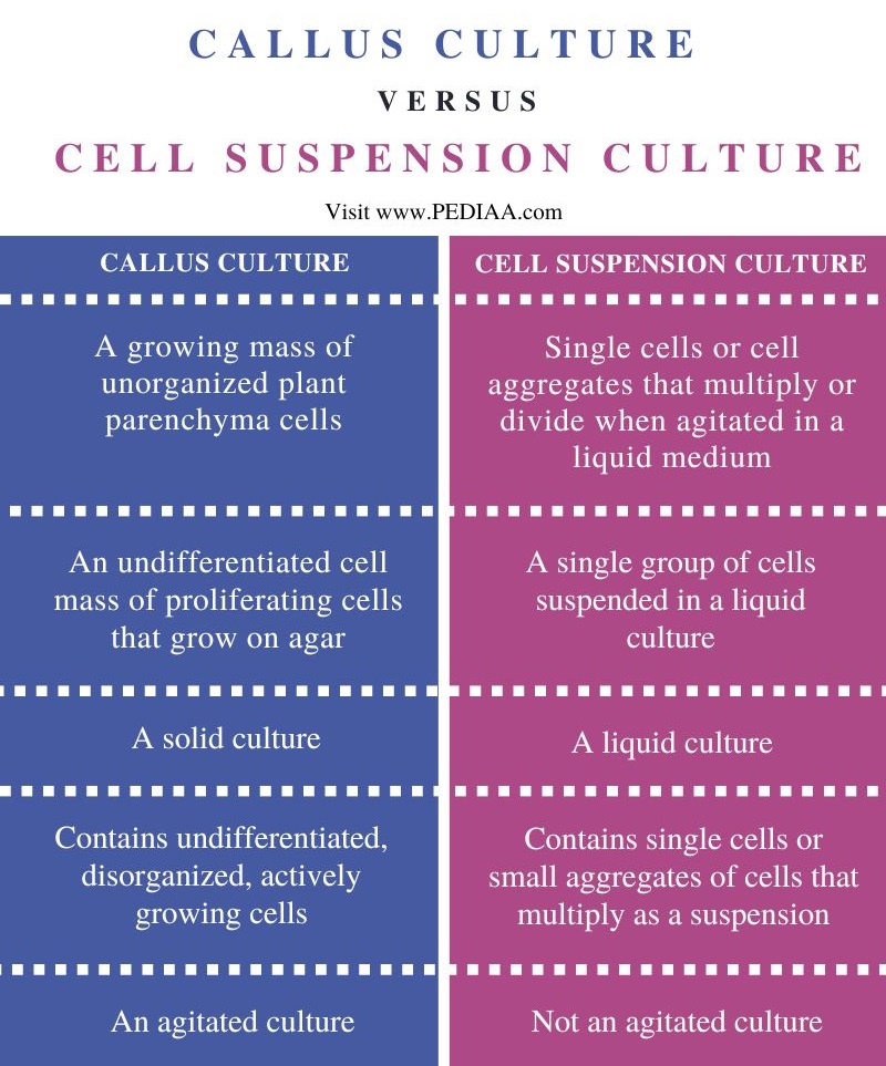 Difference Between Callus Culture and Cell Suspension Culture - Comparison Summary