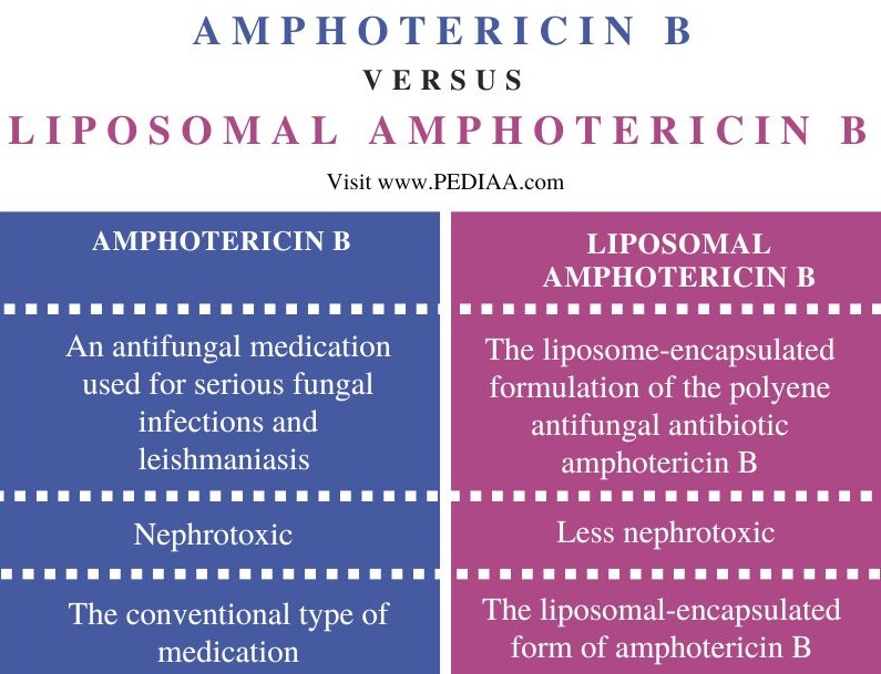 Amphotericin B vs Liposomal Amphotericin B - Comparison Summary