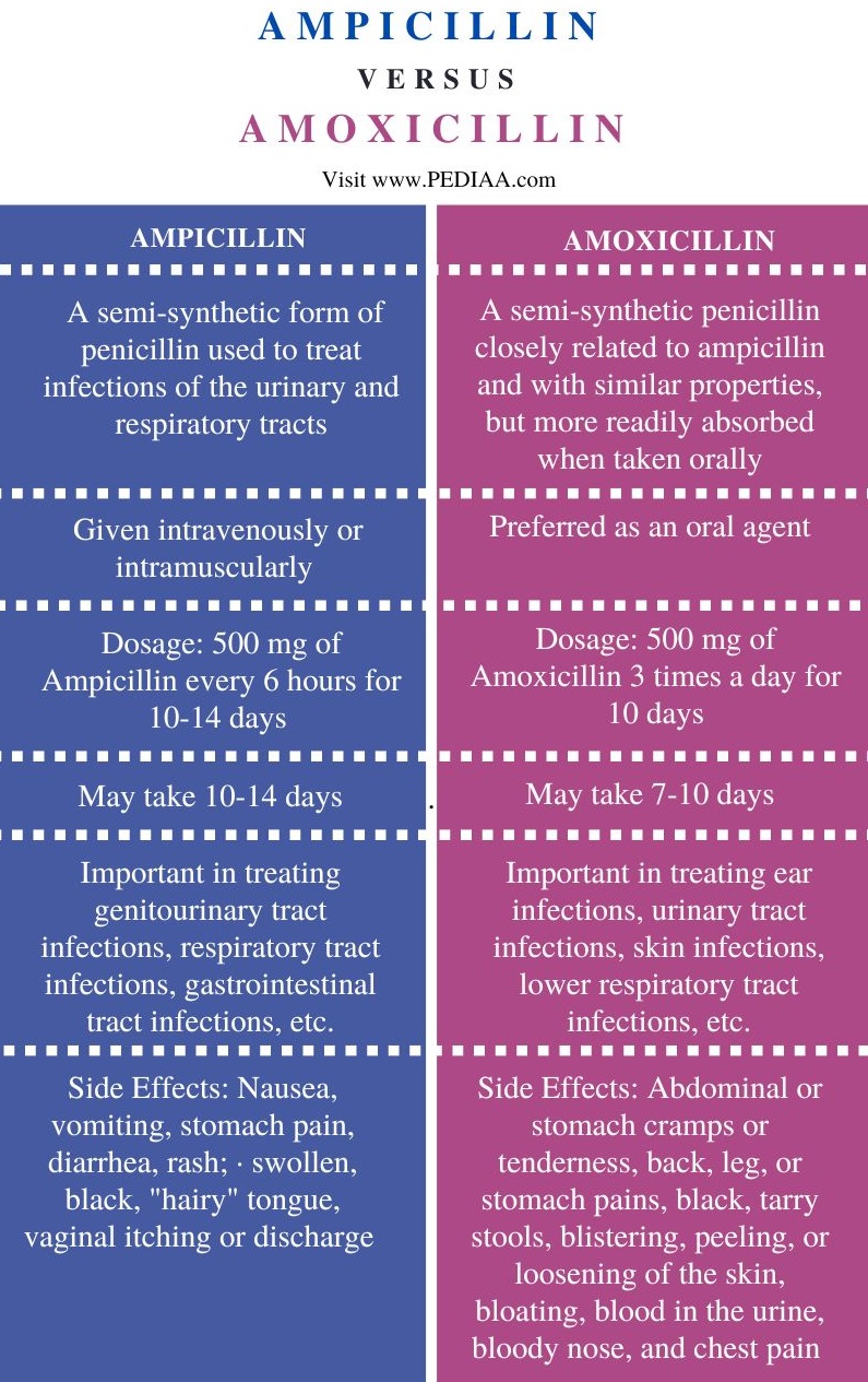 What Is The Difference Between Ampicillin And Amoxicillin Pediaacom