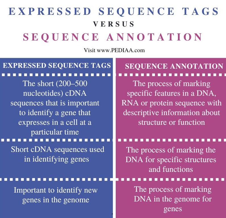  Expressed Sequence Tags and Sequence Annotation - Comparison Summary