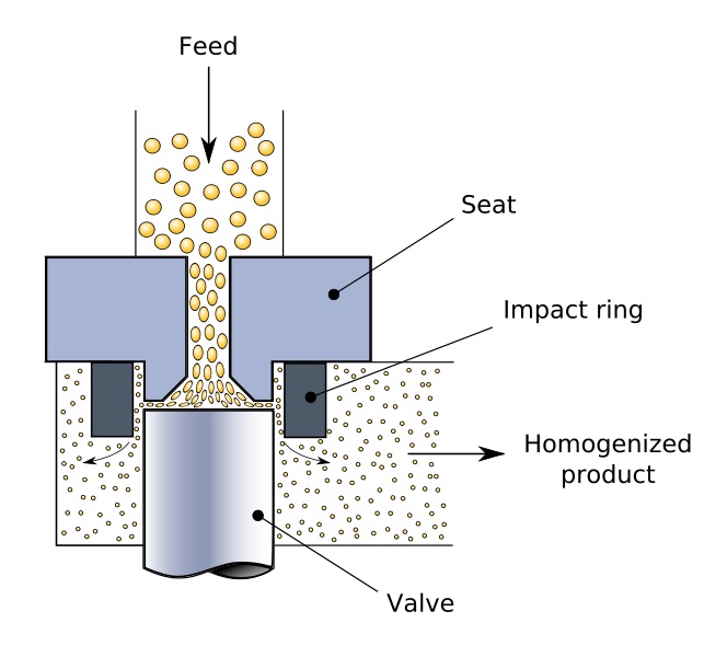 Homogenization Drawing Easy What is the Difference Between Homogenization and Pasteurization ...