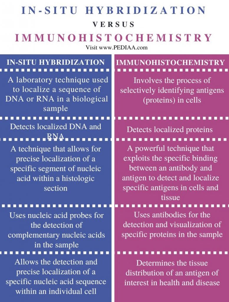 What Is The Difference Between In-situ Hybridization And ...