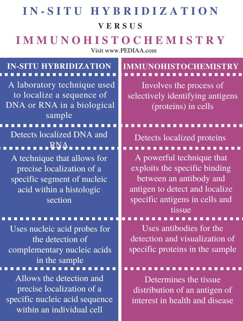 In-situ Hybridization vs Immunohistochemistry - Comparison Summary