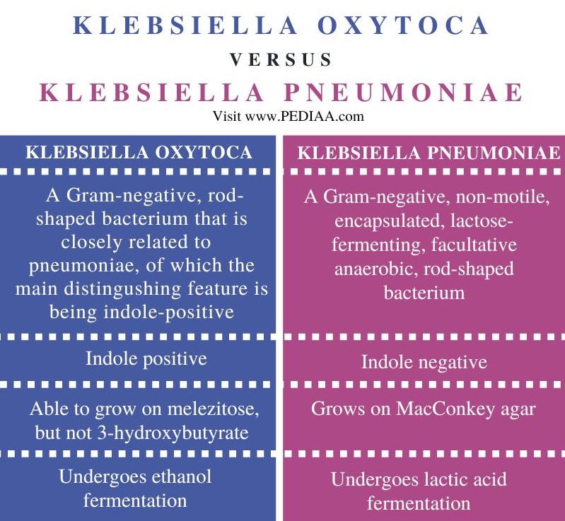 Klebsiella Oxytoca vs Klebsiella Pneumoniae - Comparison Summary