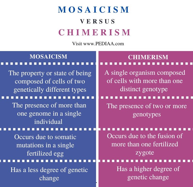 Mosaicism vs Chimerism - Comparison Summary