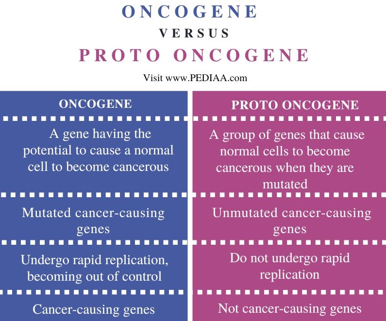 Oncogene vs Proto Oncogene - Comparison Summary