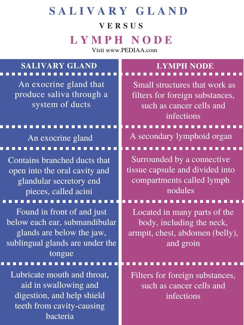 Salivary Gland vs Lymph Node - Comparison Summary