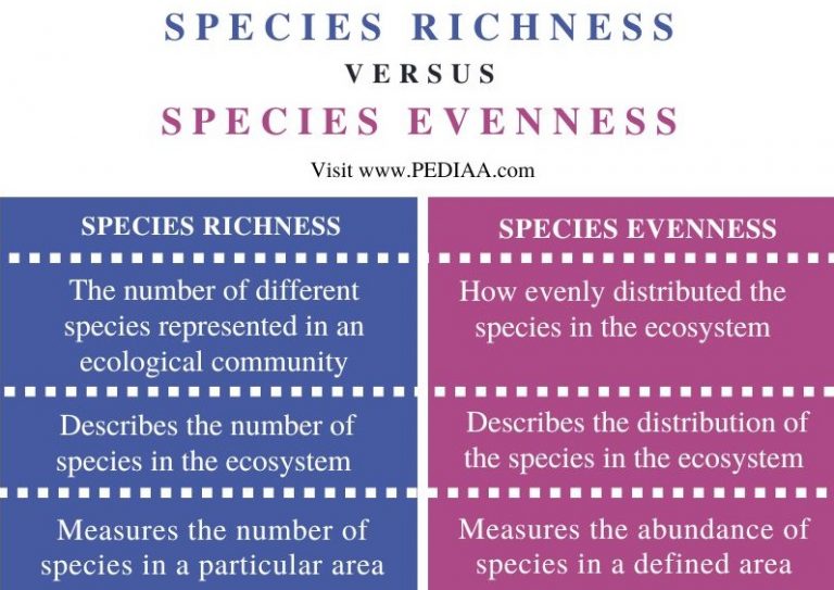 What Is The Difference Between Species Richness And Species Evenness 