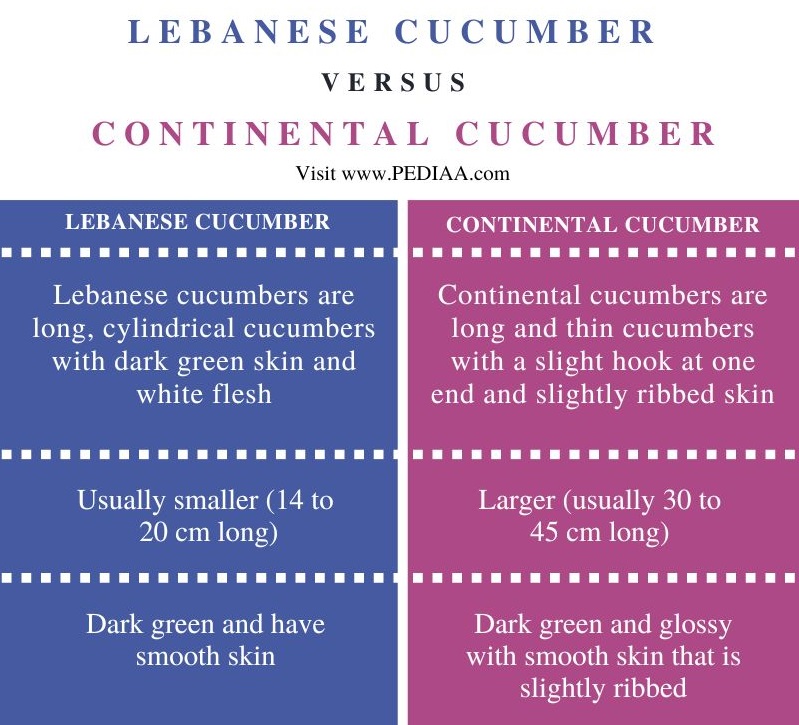 Difference Between Lebanese Cucumber and Continental Cucumber - Comparison Summary