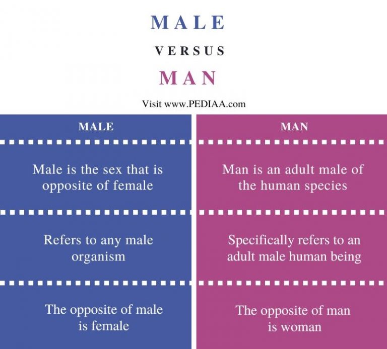 What Is The Opposite Of Male