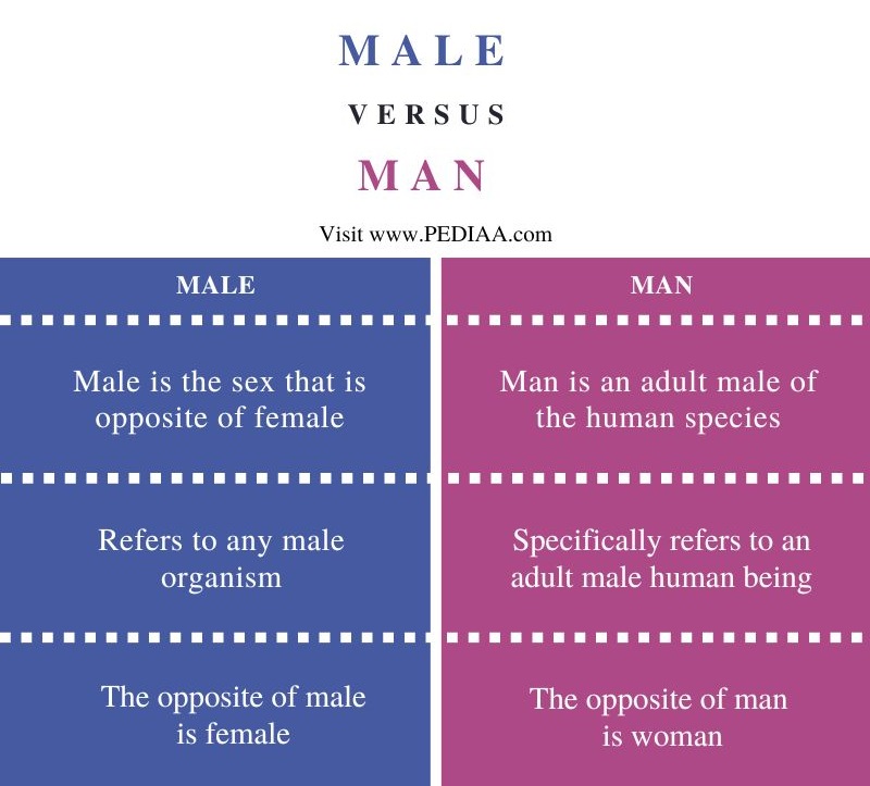 Difference Between Male and Man - Comparison Summary