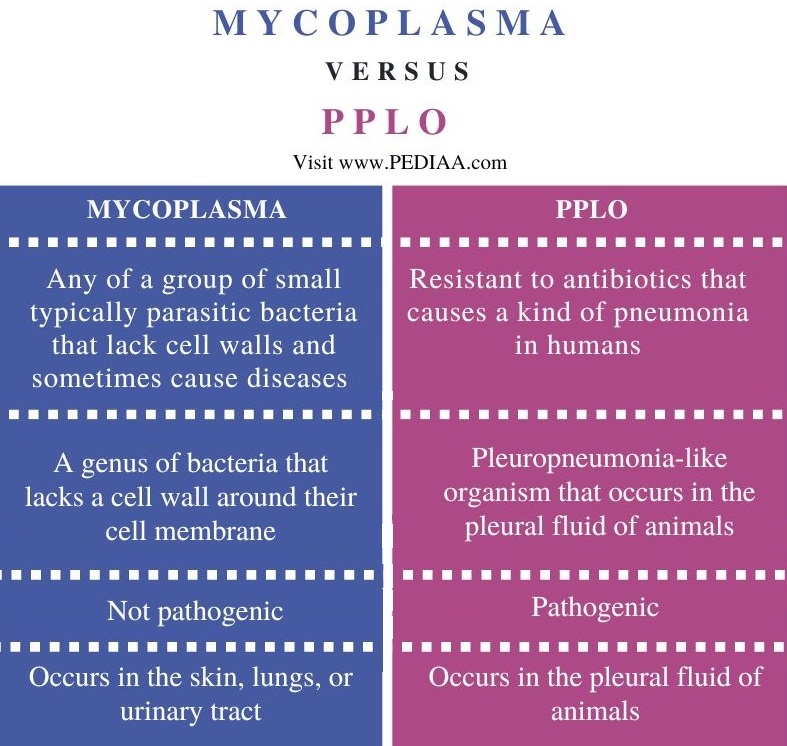 Difference Between Mycoplasma and PPLO - Comparison Summary