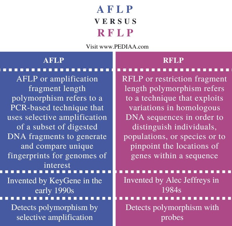 AFLP and RFLP - Comparison Summary