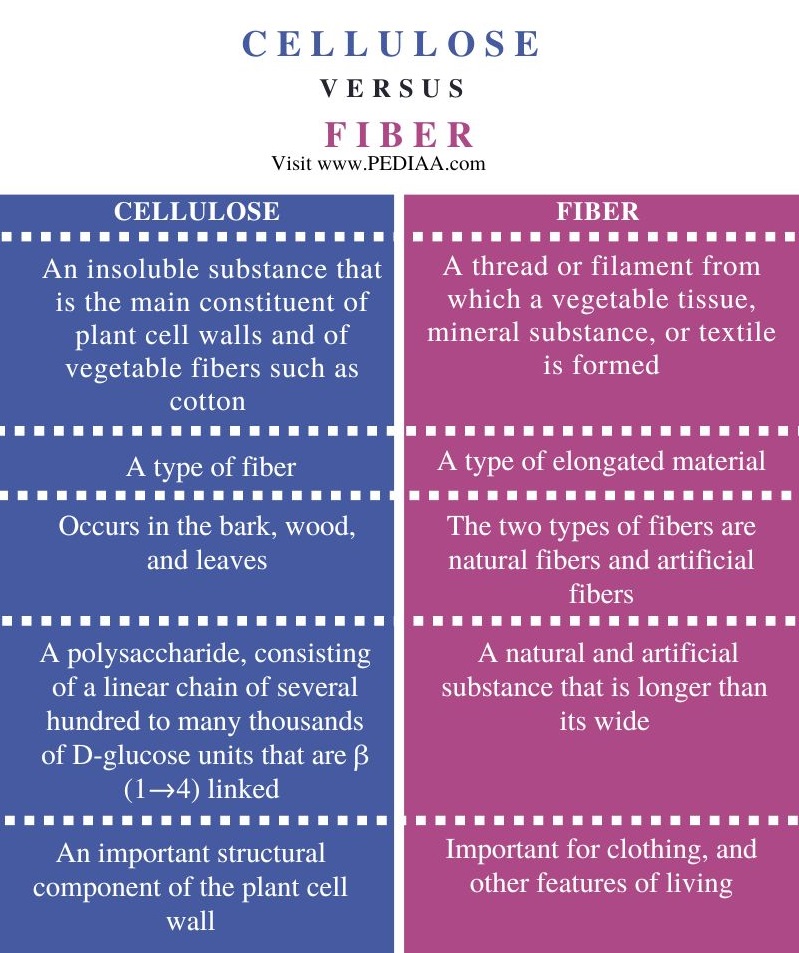 Cellulose vs Fiber - Comparison Summary