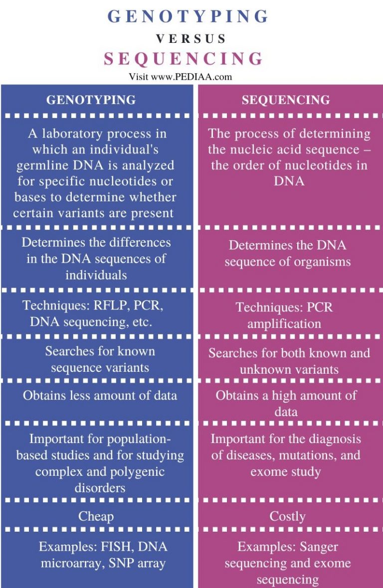 What is the Difference Between Genotyping and Sequencing