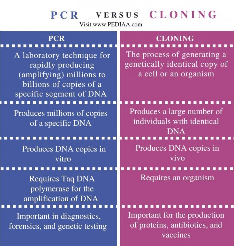 What is the Difference Between PCR and Cloning