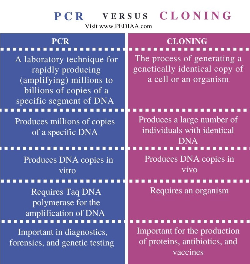 PCR vs Cloning - Comparison Summary
